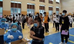 塞门铁克最新爆料消息,揭秘黑客攻击新动向