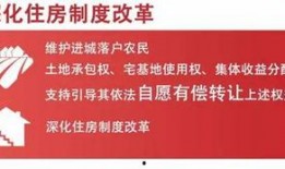 最新爆料社会,最新爆料揭示社会热点事件内幕