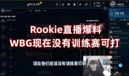 wbg训练赛最新爆料