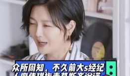 葛斯齐最新爆料大s12g视频,大S12G视频背后的惊人真相