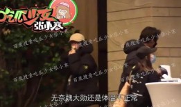 杨幂魏大勋最新八卦爆料,甜蜜互动引网友热议