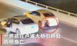 卢浦大桥爆料最新消息今天,最新进展及现场情况披露